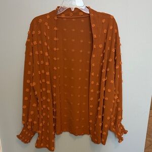 Burnt Orange Textured Open Cardigan